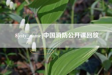 襄阳中国消防公开课回放