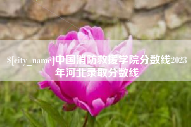 襄阳中国消防救援学院分数线2023年河北录取分数线