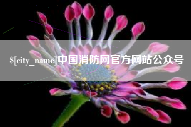 襄阳中国消防网官方网站公众号