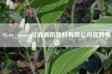 襄阳川消消防器材有限公司官网电话