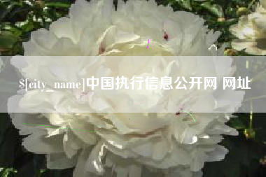 襄阳中国执行信息公开网 网址