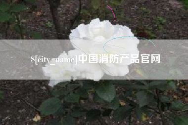 襄阳中国消防产品官网