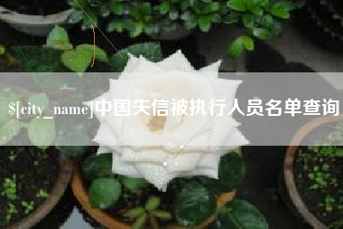 襄阳中国失信被执行人员名单查询