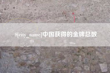 襄阳中国获得的金牌总数