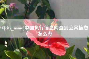 襄阳中国执行信息网查到立案信息怎么办