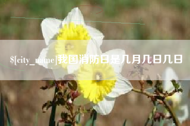 襄阳我国消防日是几月几日几日