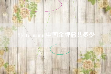 襄阳中国金牌总共多少