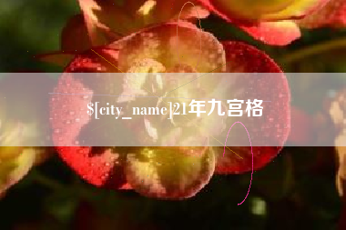 襄阳21年九宫格