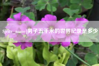 襄阳男子五千米的世界纪录是多少
