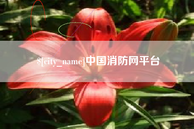 襄阳中国消防网平台