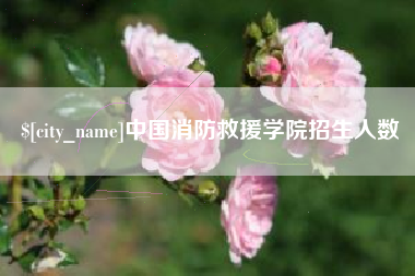 襄阳中国消防救援学院招生人数