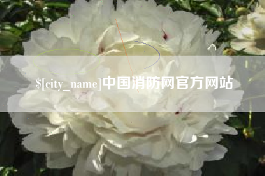 襄阳中国消防网官方网站