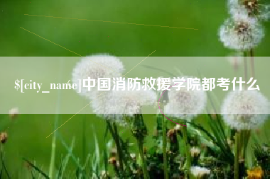 襄阳中国消防救援学院都考什么