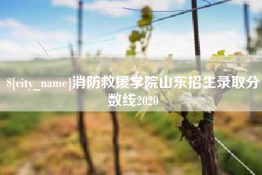 襄阳消防救援学院山东招生录取分数线2020