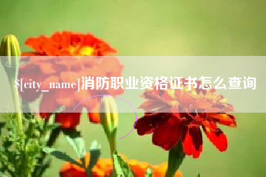 襄阳消防职业资格证书怎么查询