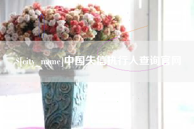 襄阳中国失信执行人查询官网