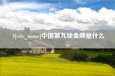 襄阳中国第九块金牌是什么