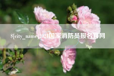 襄阳2021国家消防员报名官网