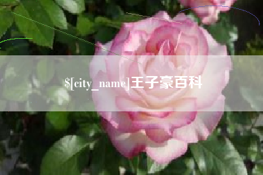 襄阳王子豪百科