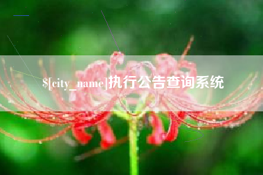 襄阳执行公告查询系统