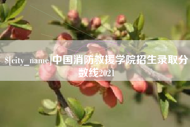 襄阳中国消防救援学院招生录取分数线2021