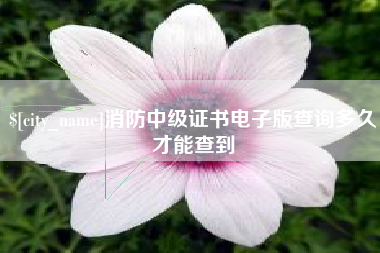 襄阳消防中级证书电子版查询多久才能查到