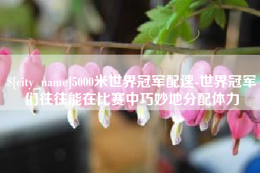 襄阳5000米世界冠军配速-世界冠军们往往能在比赛中巧妙地分配体力