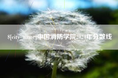 襄阳中国消防学院2024年分数线