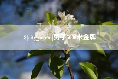 襄阳男子5000米金牌