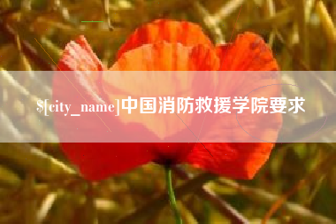 襄阳中国消防救援学院要求