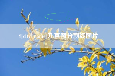 襄阳九宫图分割线图片