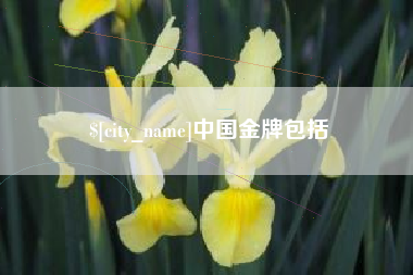 襄阳中国金牌包括