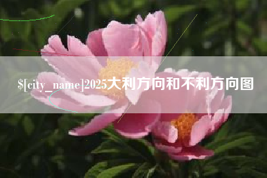 襄阳2025大利方向和不利方向图