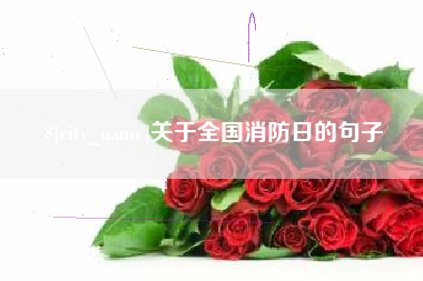 襄阳关于全国消防日的句子