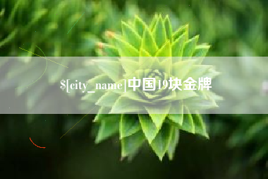 襄阳中国19块金牌