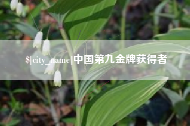 襄阳中国第九金牌获得者