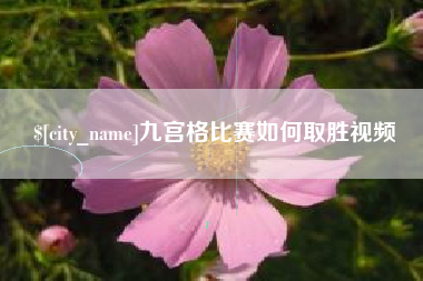 襄阳九宫格比赛如何取胜视频