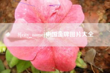 襄阳中国金牌图片大全