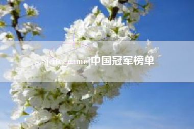 襄阳中国冠军榜单