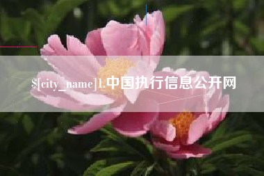 襄阳1.中国执行信息公开网