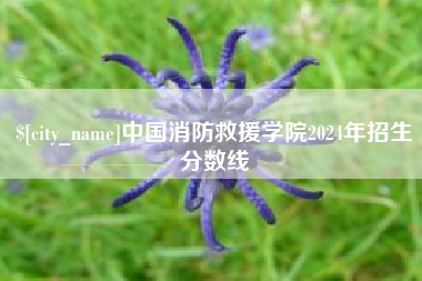 襄阳中国消防救援学院2024年招生分数线