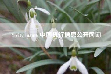 襄阳中国执行信息公开网询