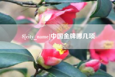 襄阳中国金牌哪几项