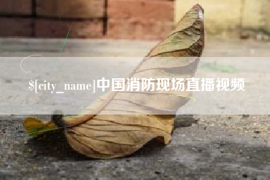 襄阳中国消防现场直播视频