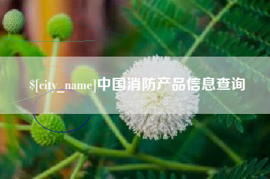 襄阳中国消防产品信息查询