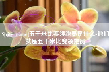 襄阳五千米比赛领跑员是什么-他们就是五千米比赛领跑员