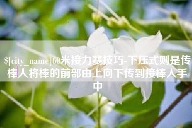 襄阳60米接力赛技巧-下压式则是传棒人将棒的前部由上向下传到接棒人手中