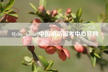襄阳中国消防报考中心官网