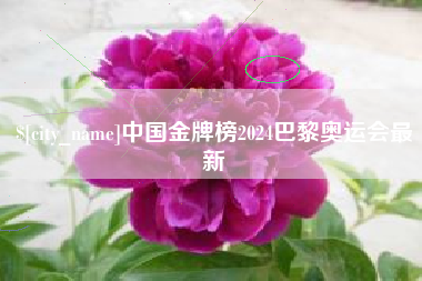 襄阳中国金牌榜2024巴黎奥运会最新
