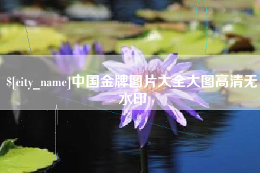 襄阳中国金牌图片大全大图高清无水印